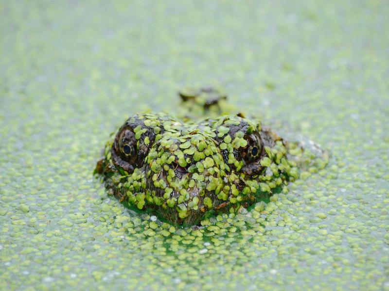 银翼杀手<br>lyd4nhjn.cn 2025 洛杉矶雨夜